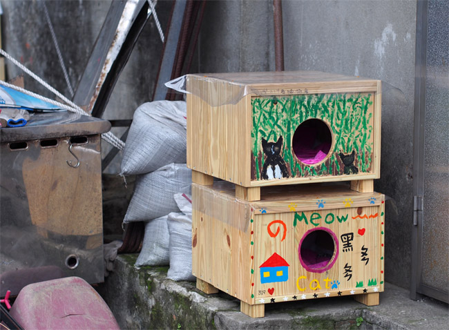 猴硐（ホウトン）猫ハウス1318.jpg