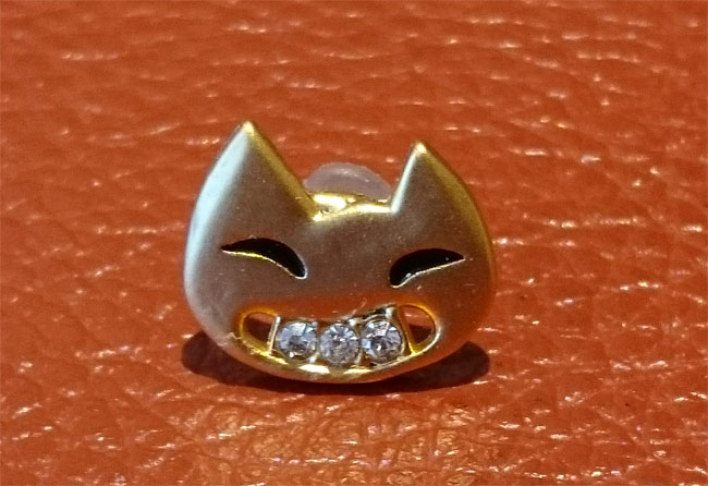 猴硐（ホウトン）猫ピアス1353.jpg