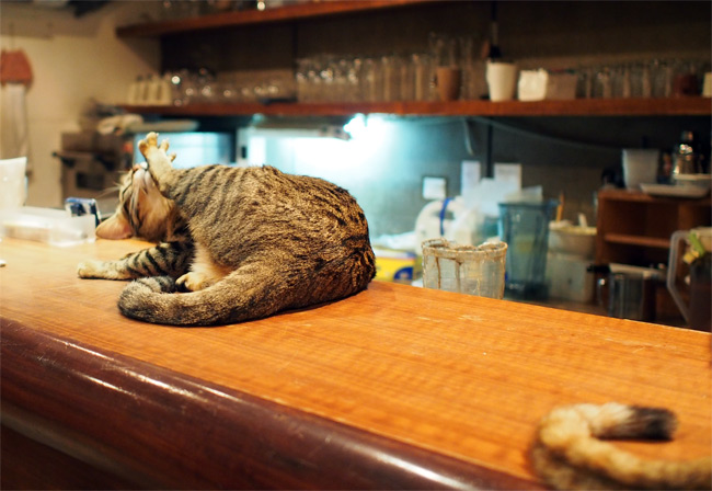 極簡カフェ猫さん1388.jpg