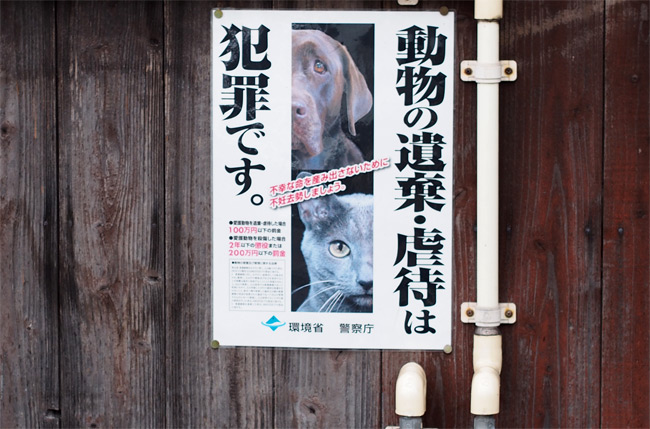 猫さんポスター1464