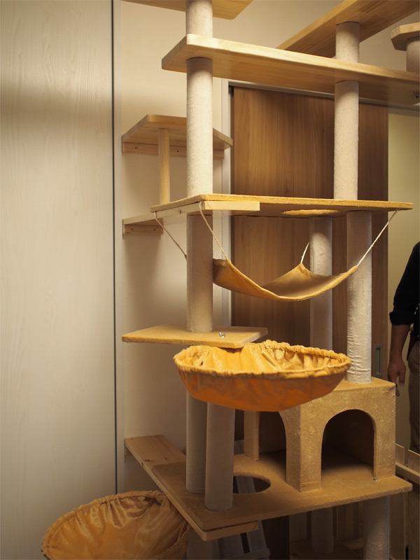 キャットタワー1691.jpg