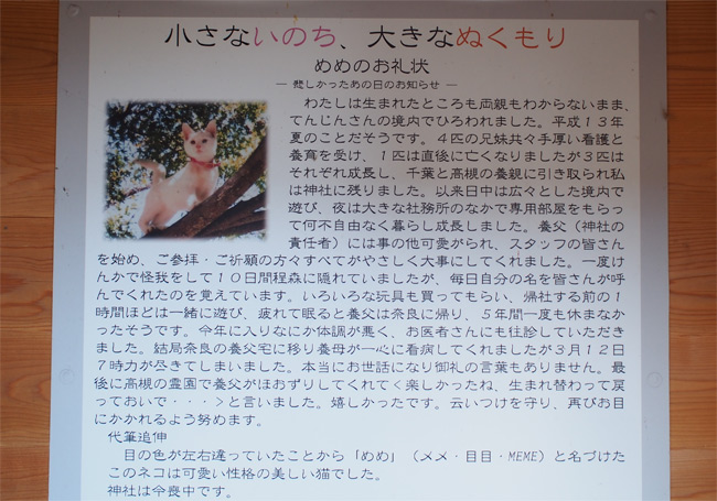 猫神社1848.jpg