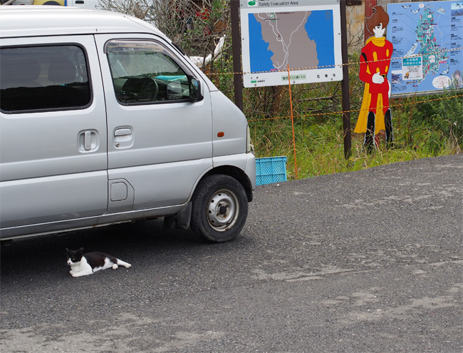 田代島猫さん2064.jpg
