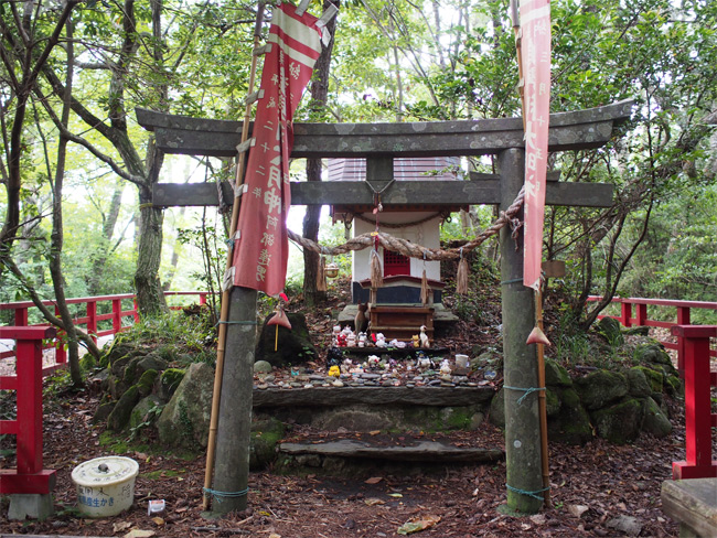 猫神社2115.jpg