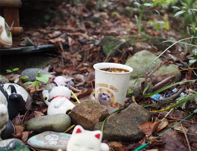 猫神社とクリームあにき2117.jpg