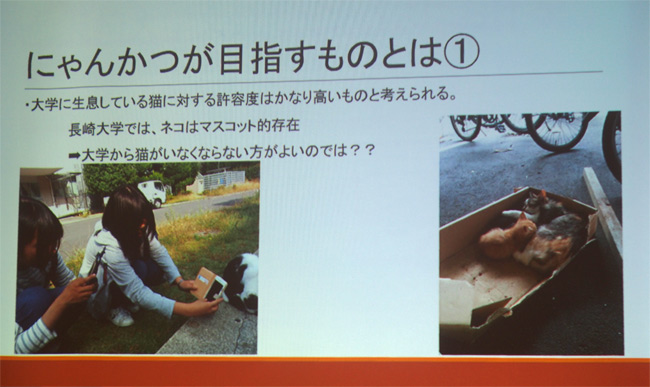 第三回大学猫シンポジウム2314.jpg