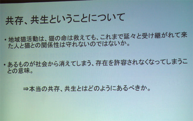 第三回大学猫シンポジウム2317.jpg