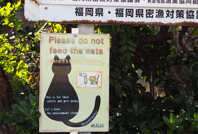 相島猫さん看板2323.jpg
