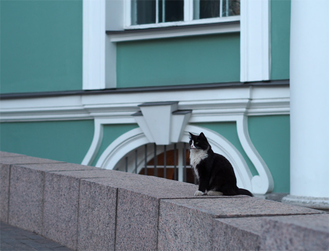 エルミタージュ猫さん2564.jpg