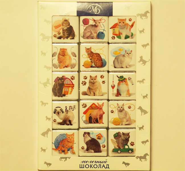 猫チョコレート2598.jpg