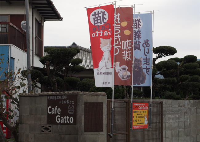 CafeGatto2876.jpg