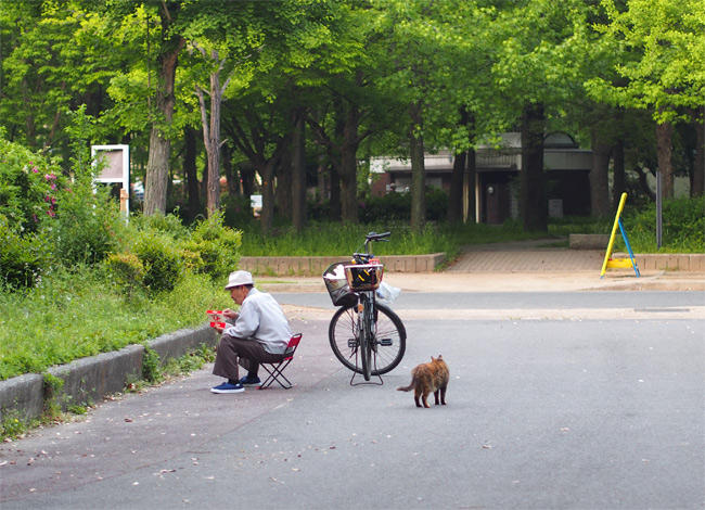 公園猫さん2979.jpg