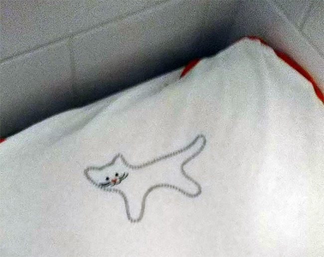 ジヴェルニー モネの家 猫さん3048.jpg