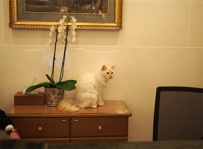 ル・ブリストル ファラオンさん3056.jpg