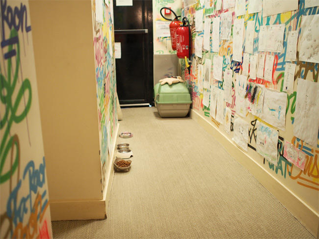 ル・ブリストル ファラオンさん3058.jpg