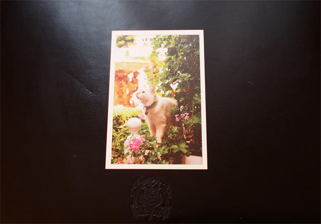 ル・ブリストル ファラオンさん3059.jpg