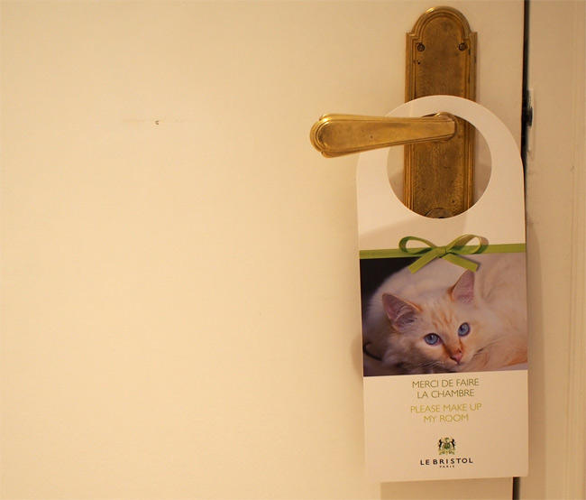 ル・ブリストル ファラオンさん3060.jpg