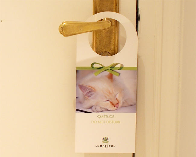 ル・ブリストル ファラオンさん3061.jpg