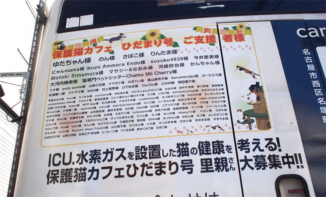 保護猫カフェひだまり号様3880.jpg