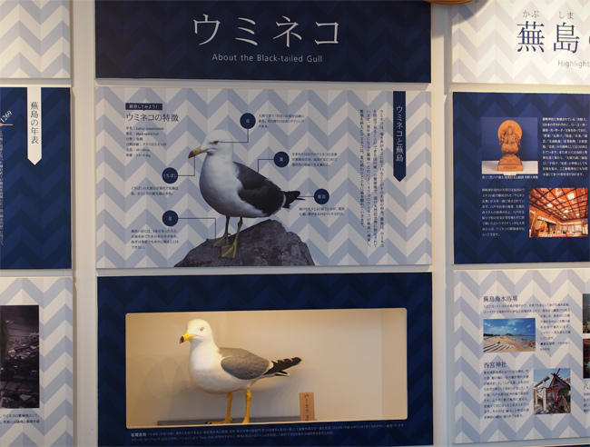 蕪嶋神社ウミネコ3928.jpg