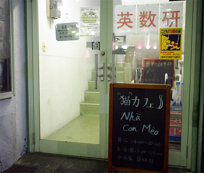保護猫カフェＮｈａ Ｃｏｎ Ｍｅｏ様3984.jpg
