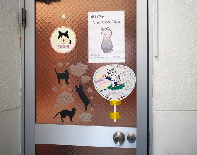 保護猫カフェＮｈａ Ｃｏｎ Ｍｅｏ様3985.jpg