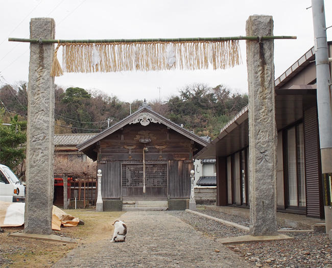 相島神社猫さん4091.jpg