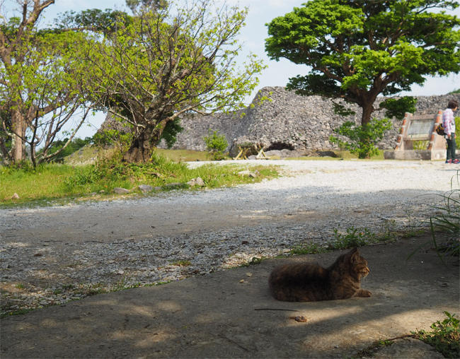 世界遺産猫さん4192.jpg