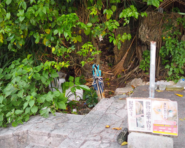 海岸公園猫さん4235.jpg