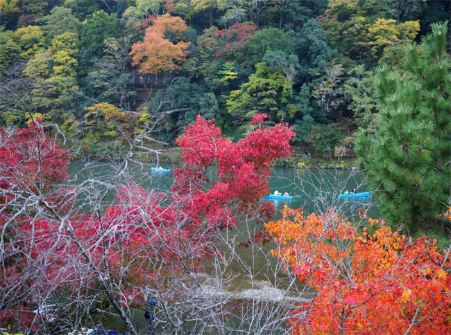 嵐山紅葉4372.jpg