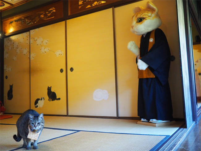 猫猫寺4405.jpg