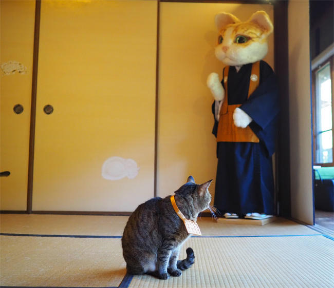 猫猫寺4406.jpg