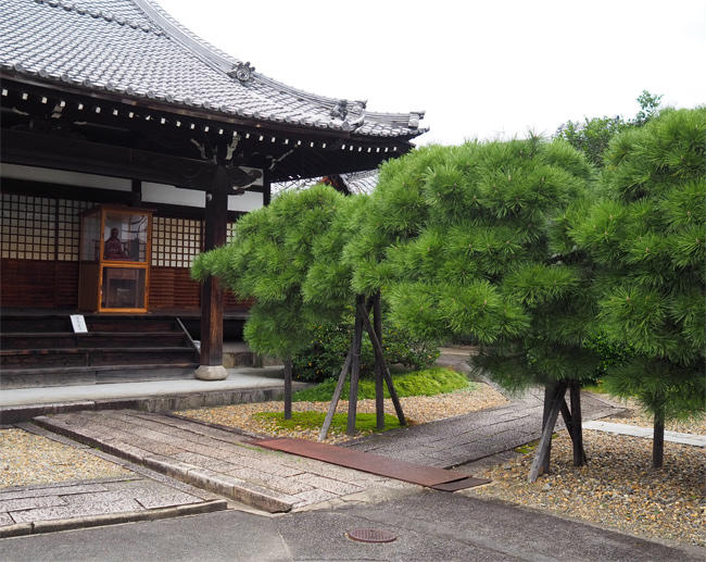 猫寺 称念寺4733.jpg
