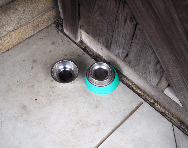 猫寺 称念寺4735.jpg