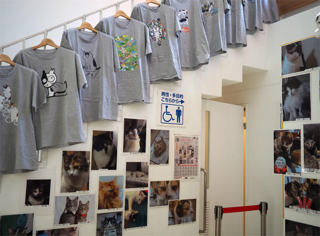 猫写真とグッズ5038.jpg