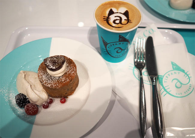 ティファニーキャットストリート店5062.jpg