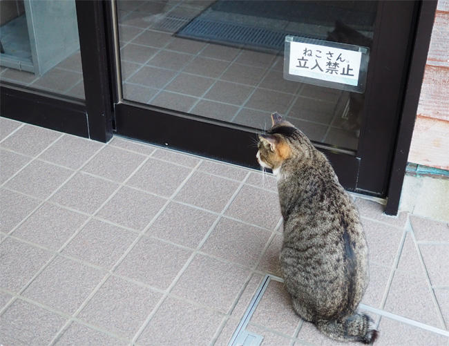 ねこさん立入禁止5703.jpg
