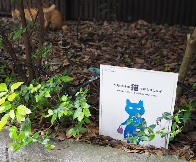 猫さん看板5827.jpg