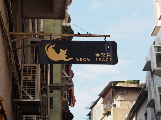 猫空間713.jpg